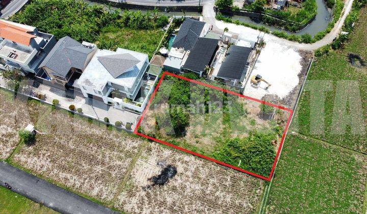 Paddy View Land in Jalan Amanlane Seminyak, Badung SHM 800 m² 1