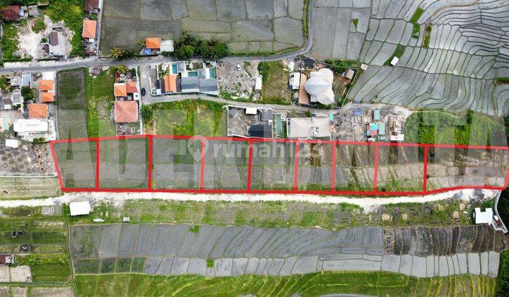 Land at Cemagi Beach, Badung SHM 500 m² View of Green Line Rice Fields 1