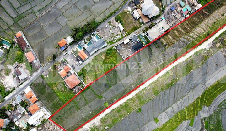 Land at Cemagi Beach, Badung SHM 500 m² View of Green Line Rice Fields 2