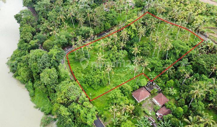 Land in Telaga Tunjung Timpag, Tabanan SHM 5,800 m² 2