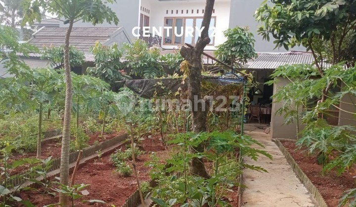 For Sale 838 M Spacious House In Raflesia Hill Cibubur For Sale 838 M Spacious House In Raflesia Hill Cibubur