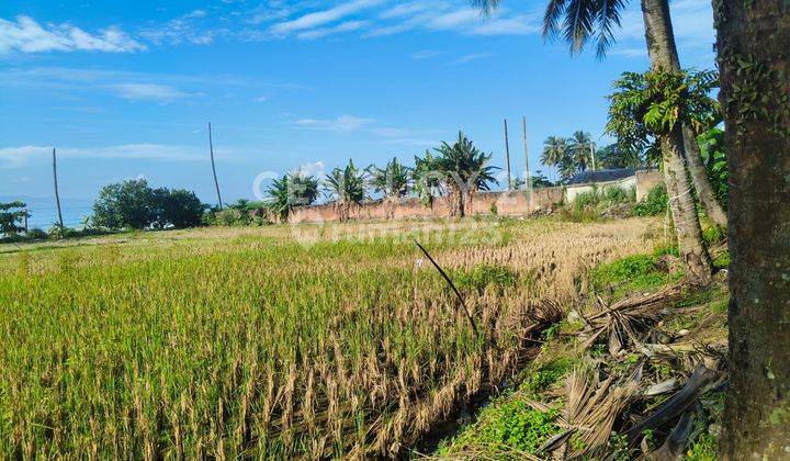 Dijual Tanah Pinggir Pantai Lokasi Pelabuhan Ratu Sukabumi 2