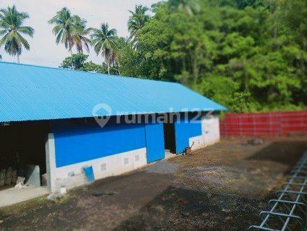 Pabrik Pengolahan Limbah Material Emas