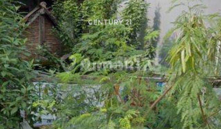 Dijual Rumah Tua Hitung Tanah Sawah Besar Jakarta Pusat 2