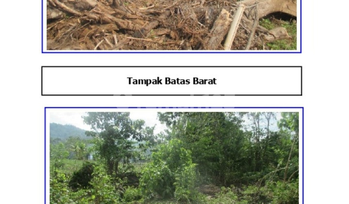 Land for Sale in Pantalasang, Gowa, South Sulawesi Land for Sale in Pantalasang, Gowa, South Sulawesi