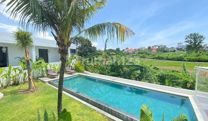 Luxury brand new modern style canggu (Yearly) Luxury brand new modern style canggu (Yearly)