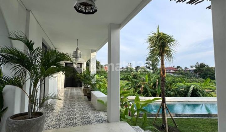 Luxury brand new modern style canggu (Yearly) Luxury brand new modern style canggu (Yearly)