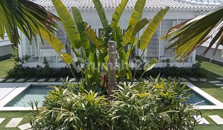 White Villa 6 BR and Cafe (available on August 27 2025) 2