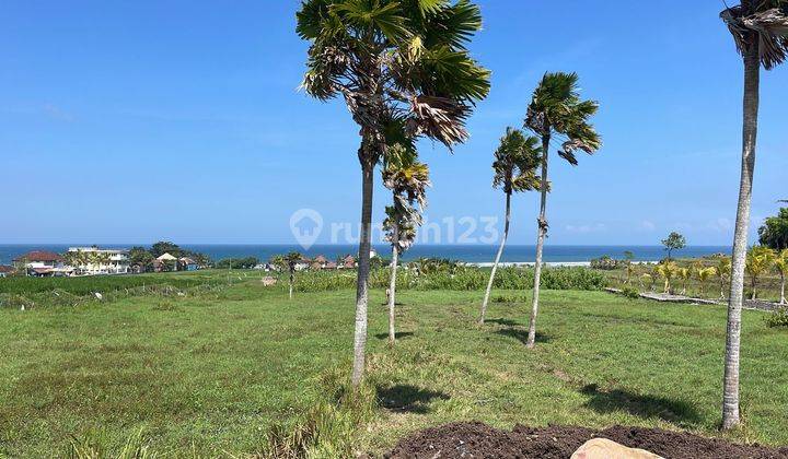 Medawi Land Surfing Beach Front  1