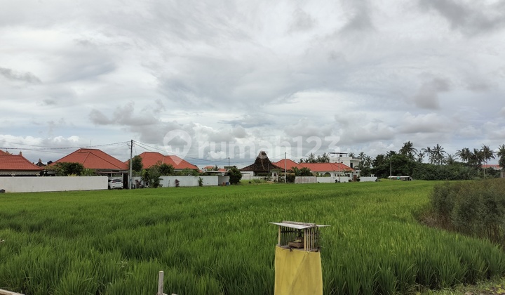 Seseh Land Near The Beach Seseh Land Near The Beach
