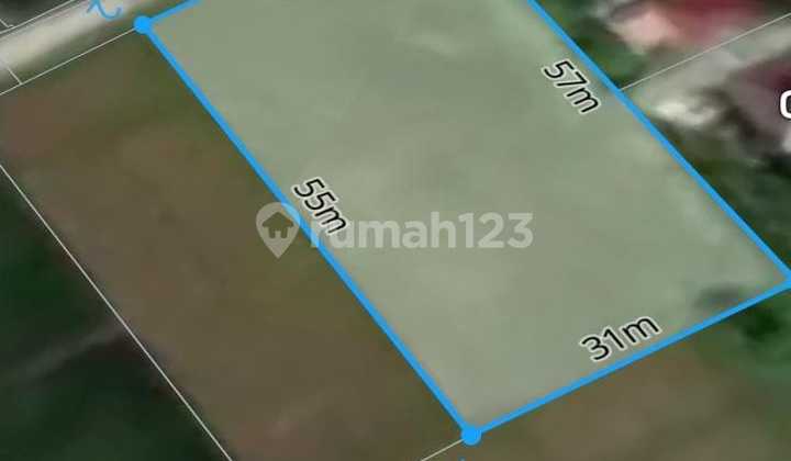 Tanah Dijual - Pemandangan Sawah | Pantai Kedungu Tanah Dijual - Pemandangan Sawah | Pantai Kedungu