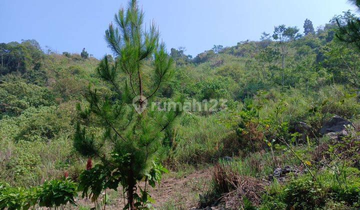 Disewakan Tanah Cocok untuk Resto dan Villa 2