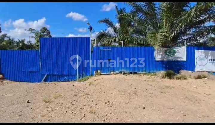 Quick Sale Mini Palm Oil Mill Bengkulu