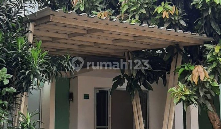 For Rent Serpong Garden House