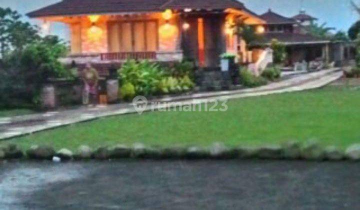 Jual Rumah, Tanah, Sawah di Gadog, Mega Mendung, Ls 1,5 Ha 1