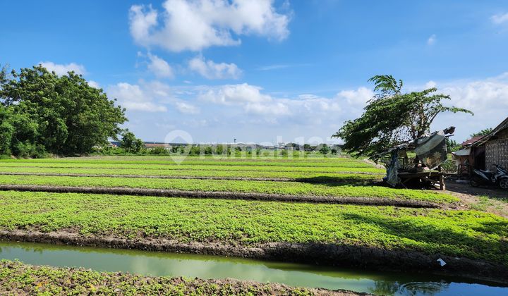 di Jual Cepat Lahan di Kosambi Tangerang Harga Nego