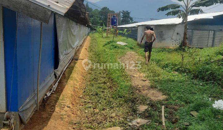 Dijual Lahan Di Jasinga Bogor DEKAT Perumahan Maja  1