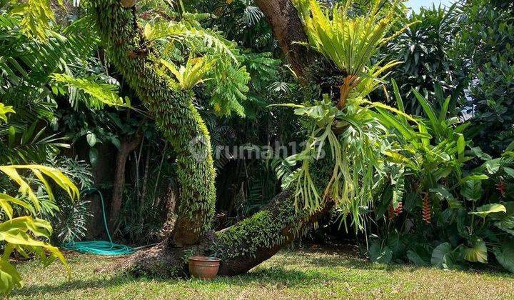 Rumah Asri Berhalaman Luas Cantik di Bangka Area Jakarta Selatan 2