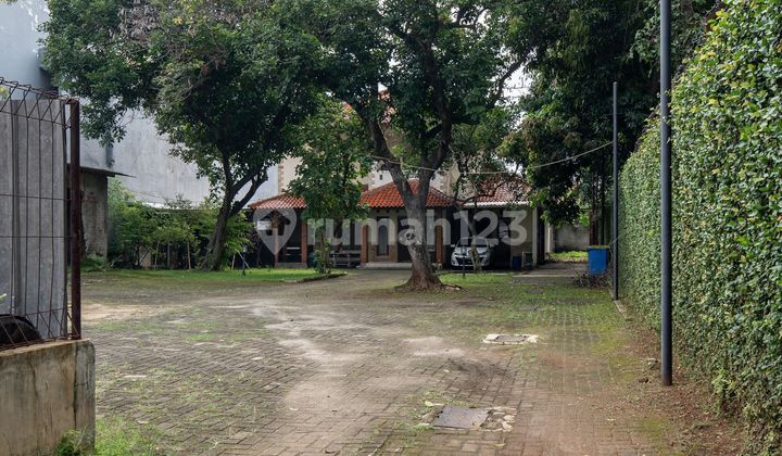 Rumah bagus berhalaman luas Rumah bagus berhalaman luas