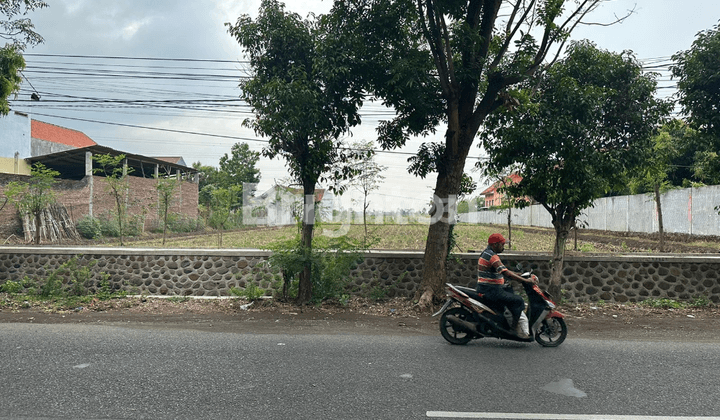 KAVLING DI JL. MASTRIP PROBOLINGGO COCOK UTK GUDANG 1