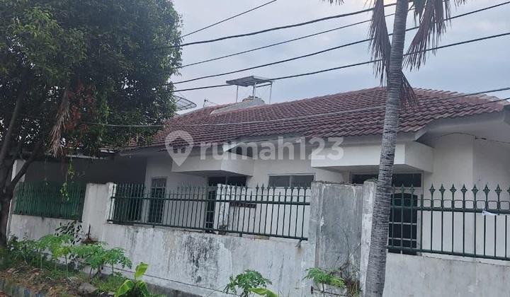 BENDUL MERISI SOUTH ROW WIDE ROAD 2