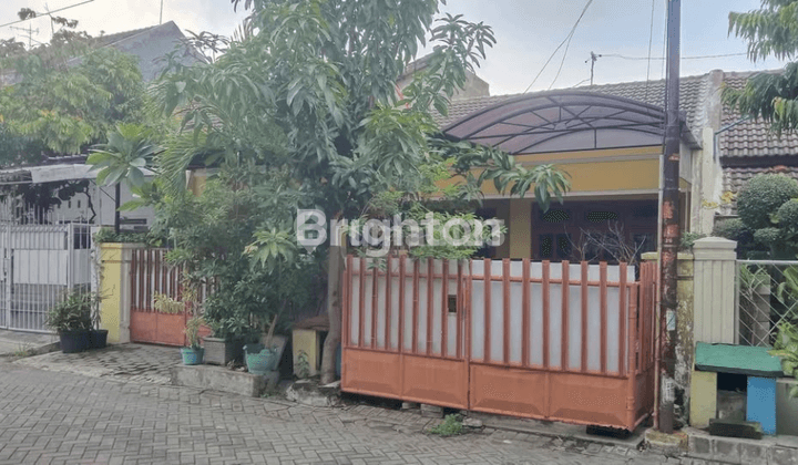 SEMOLOWARU TENGAH RUMAH LAMA SIAP PAKAI 1