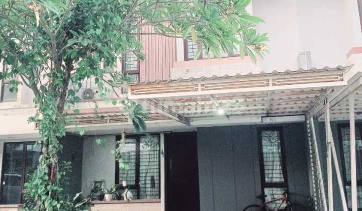 Price Drop for Ready-to-Occupy Houses at Amarine Mozia BSD.