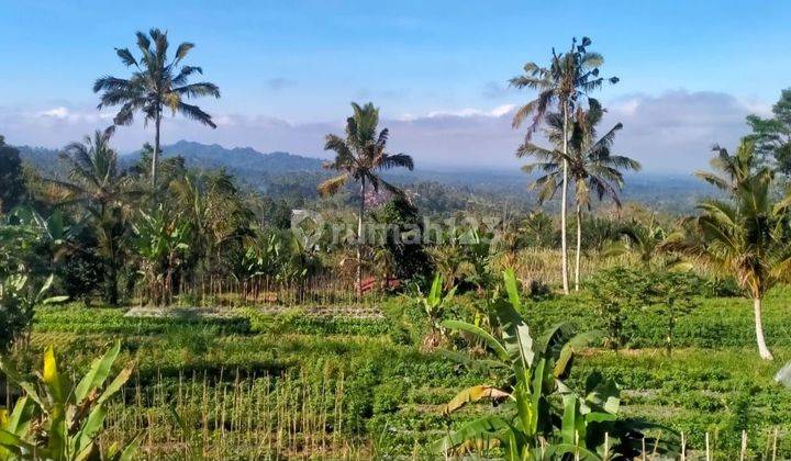 Tanah MURAH Isi Bangunan View Bukit Di Baturiti Tabanan # Petang 1