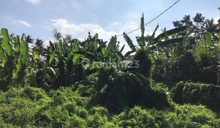 Land 4 Are In Silungan Lodtunduh Ubud Gianyar Dkt Monkey Forest 2