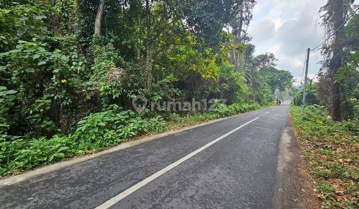 Tanah Komersil Di Jln Utama Pantai Nyanyi Dkt Tanah Lot Canggu 1