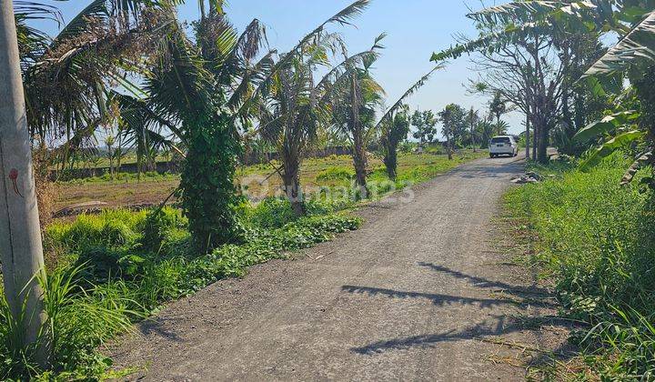 Tanah 6,3 Are di Kedungu Dekat Pantai Cinta Tanah Lot Nyanyi 2