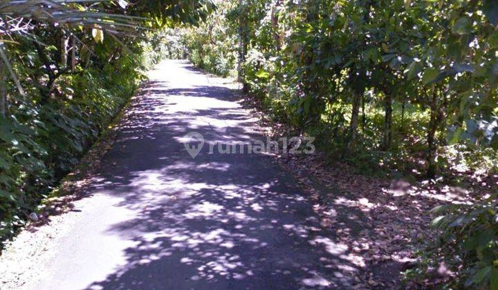 Tanah Kebun Durian Di Petang Badung Dkt Bidadari Ayung Waterfall  2