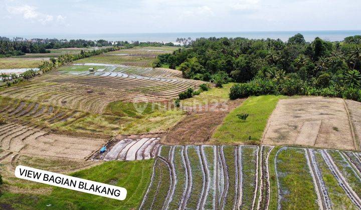 Tanah Di Jln Utama Pantai Abian Kapas Beraban Selwmadeg Tabanan  2