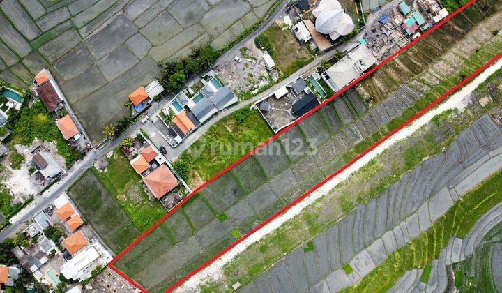 Tanah Disewakan View Sawah Di Cemagi Mengwi Dekat Seseh Canggu  2