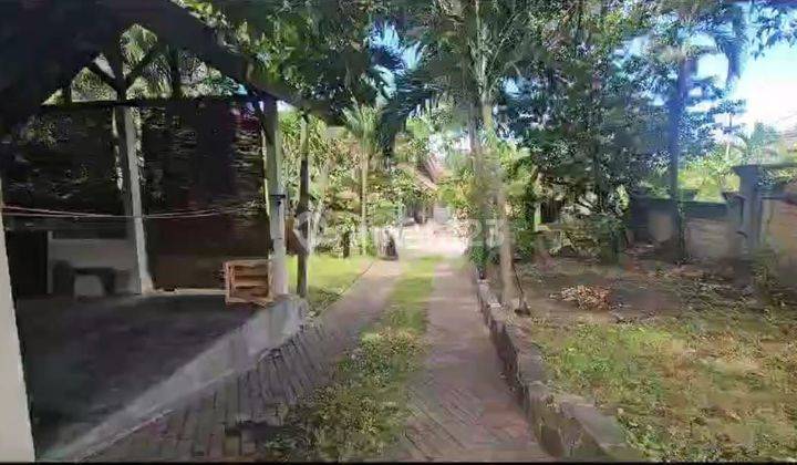 Land in the Villa Semer Kerobokan neighborhood, near Canggu, Umalas, Seminyak 2