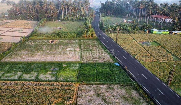 Tanah Prime Di Area Ciputra Beach Kediri Tabanan Dekat Kedungu  1