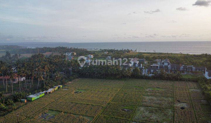 Tanah Prime Di Area Ciputra Beach Kediri Tabanan Dekat Kedungu  2