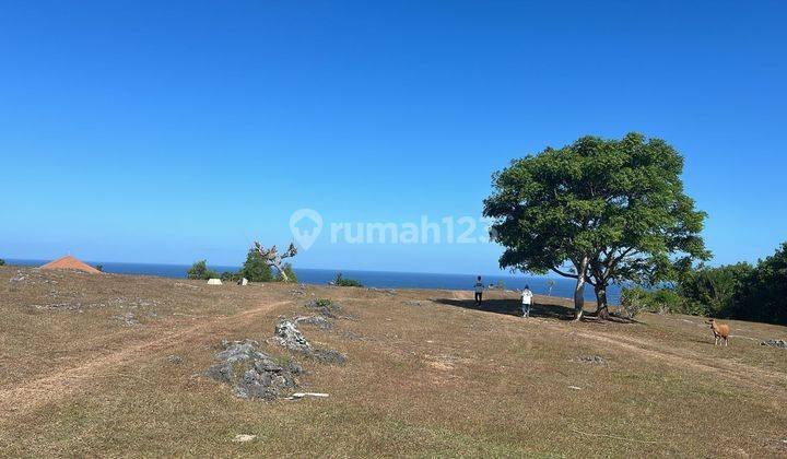 Land Los Tebing Cliff Front Pandawa Beach Kutuh Dkt Darmawangsa 2