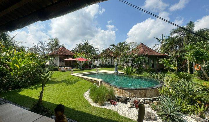 Villa Complex View Rice Fields in Tampaksiring near Ubud Kawi Resort 2