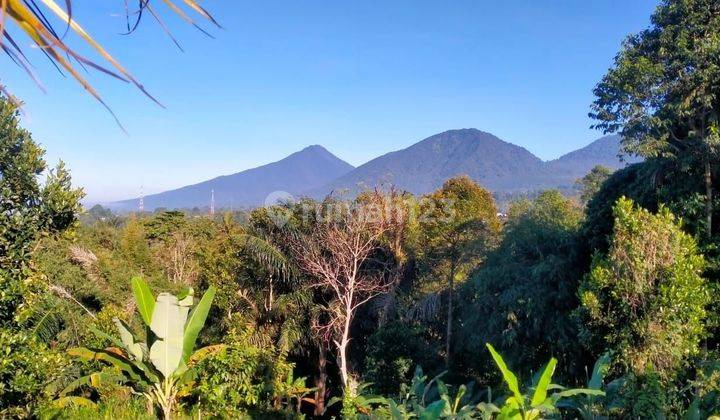 Tanah MURAH Isi Bangunan View Bukit Di Baturiti Tabanan # Petang 2