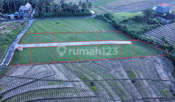 Tanah Kavling Premium Di Beraban Dekat Pantai Abian Kapas Pasut