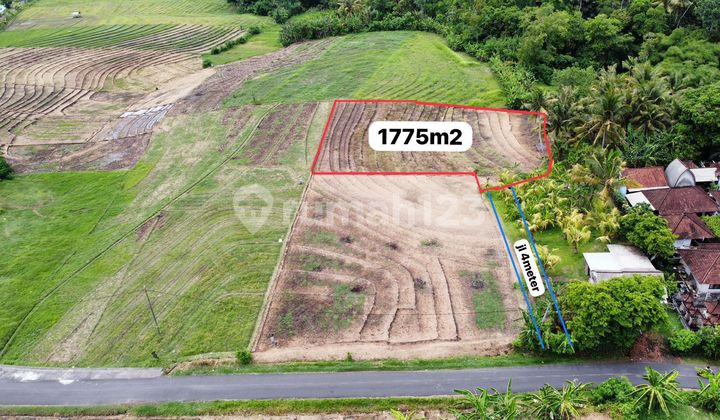 Tanah Murah Beraban Selemadeg Tabanan # Pantai Pasut Abian Kapas