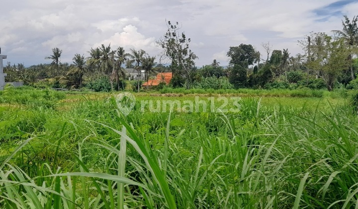 Tanah Murah Di Permata Pering Blahbatuh Gianyar Dkt Pantai Saba