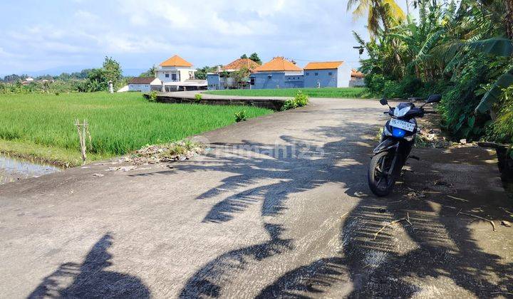 Tanah Murah Dekat Pantai Kelating Tabanan Dkt Soori Bali  1