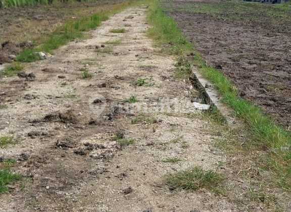 Tanah Kavling Murah Di Pemogan Dkt Glogor Carik Bypass Ngurah Rai