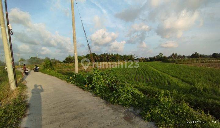 Land with Rice Field View in Kedungu Belalang Tabanan Near Canggu Nyanyi 2