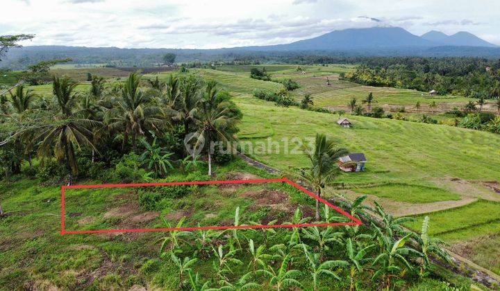 Tanah 7 Are Dkt Jln Utama Denpasar Gilimanuk Selemadeg Tabanan 1