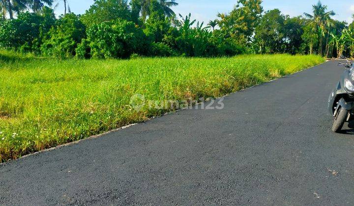 Tanah Kavling Murah Dkt Pantai Kedungu Belalang Kediri Tabanan 1