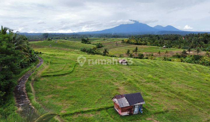 Tanah 7 Are Dkt Jln Utama Denpasar Gilimanuk Selemadeg Tabanan 2