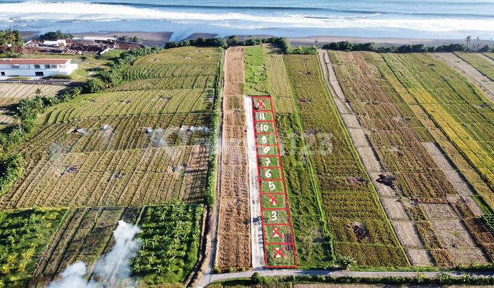 Beachside Plot Land Near Pasut Beach Tibubiu Kerambitan Tabanan